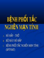 Bài giảng Bệnh phổi tắc nghẽn mạn tính (27 Tr.)