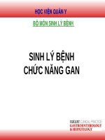 Bài giảng bộ môn Sinh lý bệnh: Sinh lý bệnh chức năng gan (tt)