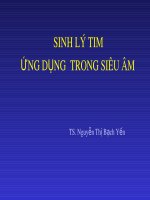 Bài giảng bộ môn Siêu âm tim: Sinh lý tim ứng dụng trong siêu âm - TS. Nguyễn Thị Bạch Yến