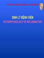 Bài giảng bộ môn Sinh lý bệnh: Sinh lý bệnh viêm (Pathophysiology of inflammation)