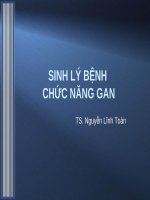Bài giảng bộ môn Sinh lý bệnh: Sinh lý bệnh chức năng gan