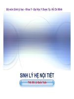 Bộ môn Sinh lý học: Sinh lý hệ nội tiết - ThS.BS Lê Quốc Tuấn