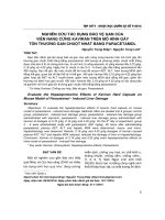 Nghiên cứu tác dụng bảo vệ gan của viên nang cứng kaviran trên mô hình gây tổn thương gan chuột nhắt bằng paracetamol