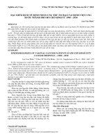 Đặc điểm dịch tễ bệnh nhân ung thư âm đạo tại Bệnh viện Ung Bướu Thành phố Hồ Chí Minh từ 1990-2010