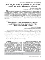 Nhân một trường hợp dò sỏi túi mật vào tá tràng gây tắc ruột non tại bệnh viện đa khoa Khánh Hòa