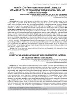 Nghiên cứu tình trạng HER2 và mối liên quan với một số yếu tố tiên lượng trong ung thư biểu mô tuyến vú xâm nhập