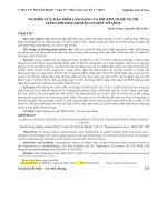 Nghiên cứu đặc điểm lâm sàng và phương pháp xử trí chấn thương mi mắt có mất tổ chức