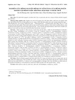 Nghiên cứu bệnh nguyên bệnh vi nấm ở da của bệnh nhân khám tại Bệnh viện trường Đại học Y Dược Huế - Tạp chí Y học