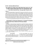 Đặc điểm khí thũng phổi trên hình ảnh chụp cắt lớp vi tính ở bệnh nhân bệnh phổi tắc nghẽn mạn tính