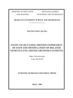 Nghiên cứu đột biến, mức độ biểu hiện gen EGFR và tình trạng METHYL hoá một số gen liên quan trên bệnh nhân ung thu biểu mô tuyến ở phổi tt tieng anh 