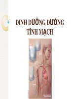 Bài giảng Dinh dưỡng đường tĩnh mạch