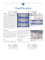 Ebook Atlas of cosmetic and reconstructive periodontal surgery (3/E): Part 2