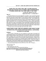 Phân tích cấu trúc gen LMP-1 và mối quan hệ nguồn gốc phả hệ của 34 chủng virut epstein barr từ bệnh nhân ung thư vòm họng ở Việt Nam