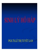 Bài giảng Sinh lý hô hấp - PGS.TS. Lê Thị Tuyết Lan