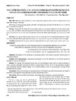 Đặc điểm giải phẫu các nhánh động mạch xuyên ra da của nhánh lên động mạch mũ đùi ngoài ở người Việt Nam