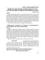 Nghiên cứu hiệu quả điều trị người bệnh sảy thai liên tiếp do nhiễm Cytomegalovirus bằng Acyclovir