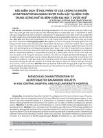 Đặc điểm dịch tễ học phân tử của chủng vi khuẩn acinetobacter baumanii được phân lập tại Bệnh viện Đại học Y Dược Huế và Bệnh viện Trung ương Huế