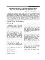 Đặc điểm lâm sàng và cận lâm sàng của bệnh sốt xuất huyết Dengue ở phụ nữ mang thai