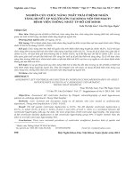 Nghiên cứu chức năng thất trái ở bệnh nhân tăng huyết áp người lớn tại khoa nội tim mạch bệnh viện Thống nhất TP. Hồ Chí Minh