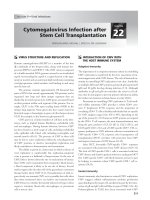 Ebook Transplant infections (3rd edition): Part 2