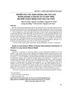 Nghiên cứu tác dụng kháng ung thư của Interleukine-12 người tái tổ hợp trên mô hình chuột mang khối ung thư phổi