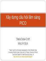 Bài giảng Y học: Xây dựng câu hỏi lâm sàng PICO