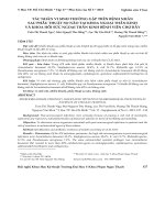 Tác nhân vi sinh thường gặp trên bệnh nhân sau phẫu thuật sọ não tại khoa ngoại thần kinh và khoa hồi sức ngoại thần kinh Bệnh viện Chợ Rẫy