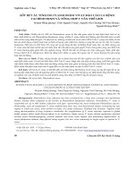 Sốt rét ác tính do plasmodium vivax báo cáo ca bệnh tại Bình Định và tổng hợp y văn Thế giới