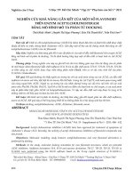 Nghiên cứu khả năng gắn kết của một số flavonoid trên enzym acetylcholinesterase bằng mô hình mô tả phân tử docking