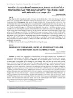 Nghiên cứu sự biến đổi Fibrinogen, hsCRP, vs và thể tích tổn thương não trên chụp cắt lớp vi tính ở bệnh nhân nhồi máu não giai đoạn cấp