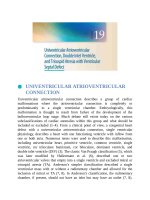 Ebook A practical guide to fetal echocardiography normal and abnormal hearts (3E): Part 2