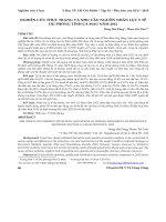 Nghiên cứu thực trạng và nhu cầu nguồn nhân lực y tế dự phòng tỉnh Cà Mau năm 2012