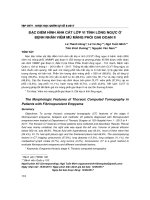 Đặc điểm hình ảnh cắt lớp vi tính lồng ngực ở bệnh nhân viêm mủ màng phổi giai đoạn II