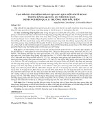 Tạo hình làm rộng bàng quang qua nội soi ổ bụng trong bàng quang co nhỏ do lao: Kinh nghiệm qua 11 trường hợp đầu tiên