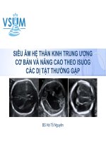 Siêu âm hệ thần kinh trung ương cơ bản và nâng cao theo ISUOG các dị tật thường gặp - BS. Hà Tố Nguyên
