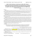 Hiện tượng kháng có liên quan đến tiến trình chậm làm sạch ký sinh trùng plasmodium falciparum sau điều trị thuốc dihydroartemisinin‐piperaquine tại một vùng sốt rét lưu hành có giao lưu