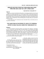 Biến đổi giải phẫu phần sau vòng động mạch não trên hình ảnh chụp cắt lớp vi tính 64 dãy