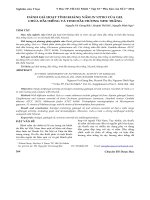 Đánh giá hoạt tính kháng nấm in vitro của gel chứa dầu riềng và tinh dầu hương nhu trắng