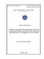 Nghiên cứu đột biến, mức độ biểu hiện gen EGFR và tình trạng METHYL hoá một số gen liên quan trên bệnh nhân ung thu biểu mô tuyến ở phổi