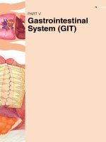 Ebook Essential physiology for dental students: Part 2