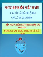 Bài giảng Phòng bệnh sốt xuất huyết chưa có thuốc điều trị đặc hiệu chưa có vắc xin dự phòng