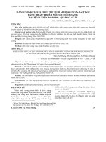 Đánh giá kết quả điều trị viêm mũi xoang mạn tính bằng phẫu thuật nội soi mũi xoang tại Bệnh viện Đa khoa Quảng Ngãi