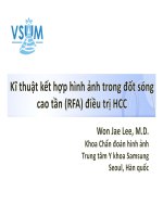 Bài giảng Kỹ thuật kết hợp hình ảnh trong đốt sóng cao tần điều trị ung thư biểu mô tế bào gan