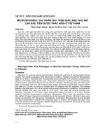 Microsporidia: Tác nhân gây viêm giác mạc nhu mô lần đầu tiên được phát hiện ở Việt Nam