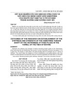 Kết quả nghiên cứu xác định độ cứng chắc và sức bền của mảnh ghép gân hamstring của người Việt Nam tại vị trí cố định trong đường hầm xương chày bò