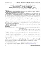 Nghiên cứu hiệu quả của gây tê tủy sống kết hợp gây tê ngoài màng cứng trong phẫu thuật thay khớp gối, khớp háng