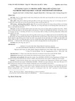 Sử dụng vạt C ‐ Y trong điều trị loét cùng cụt tại Bệnh viện Đại học Y dược Thành phố Hồ Chí Minh