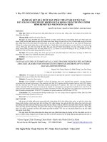 Đánh giá kết quả bước đầu phẫu thuật nội soi tái tạo dây chằng chéo trước khớp gối tại khoa chấn thương chỉnh hình Bệnh viện Nhân dân Gia định