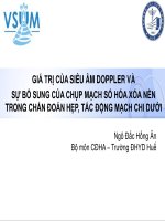 Bài giảng Giá trị của siêu âm doppler và sự bổ sung của chụp mạch số hóa xóa nền trong chấn đoán hẹp, tắc động mạch chi dưới