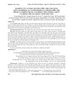 Nghiên cứu tương đương điều trị lâm sàng giữa cetrimaz 1g và rocephin 1g trong điều trị bệnh lý nhiễm trùng tại Bệnh viện Thống Nhất và Bệnh viện Đa khoa tỉnh Phú Yên